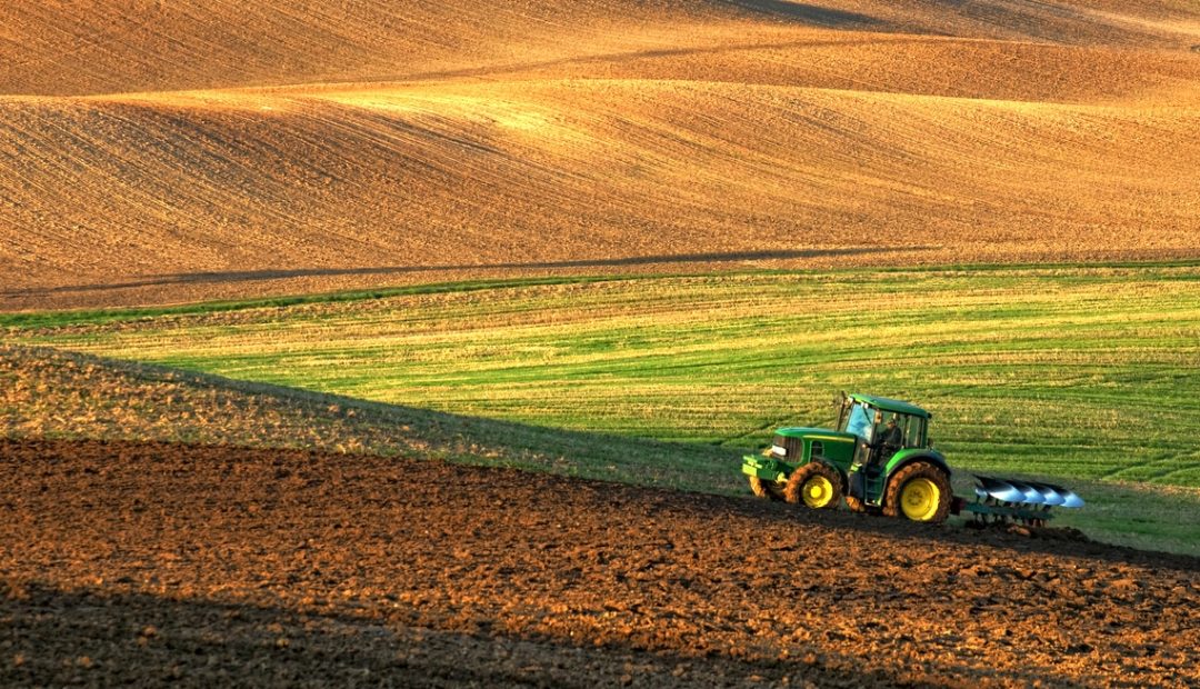 Zoneamento agrícola: o que é e qual a sua importância