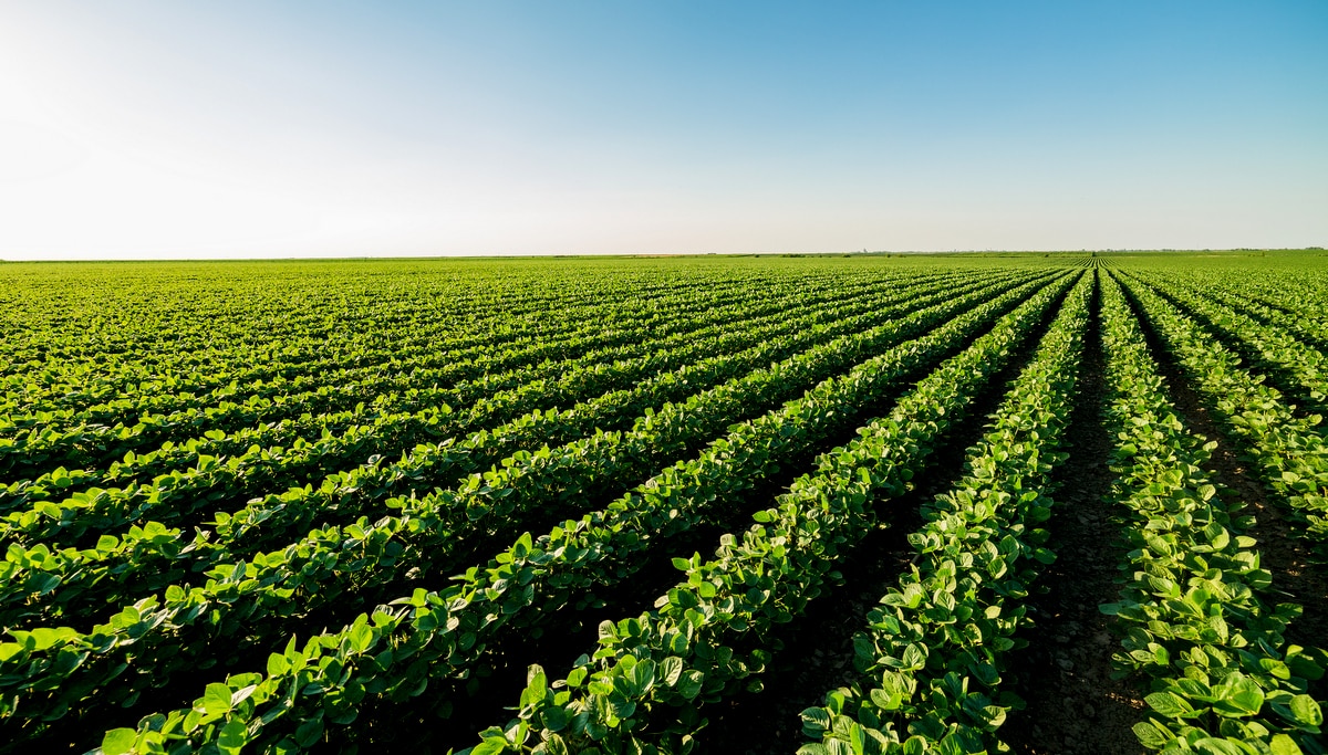 Exemplo da utilização do calendário agrícola