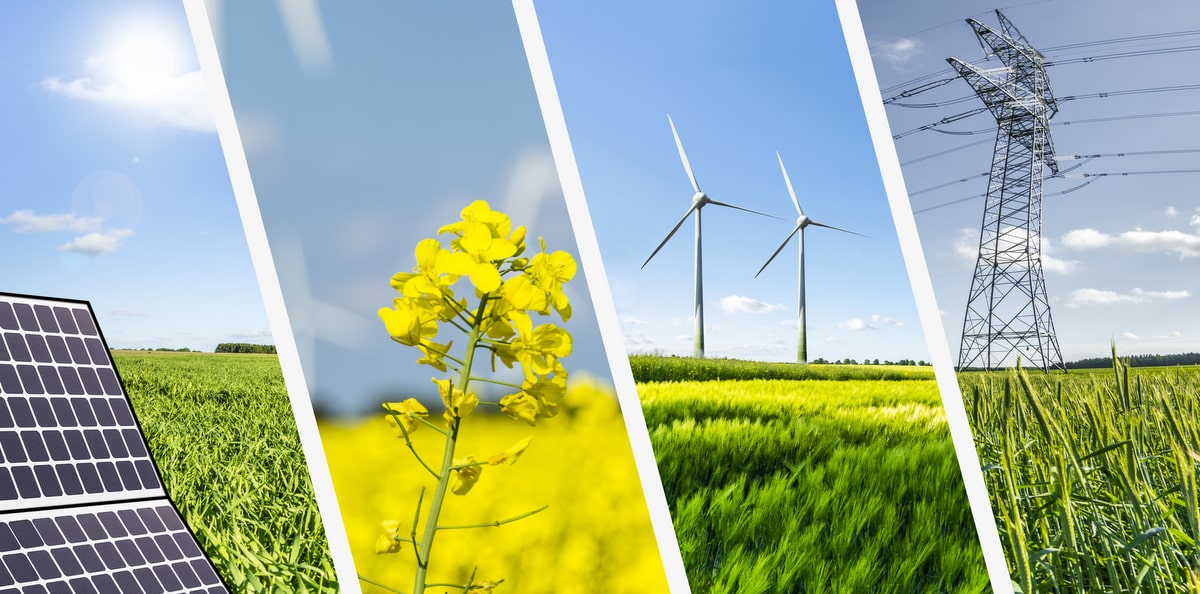 Exemplos de energia limpa na agricultura sustentável
