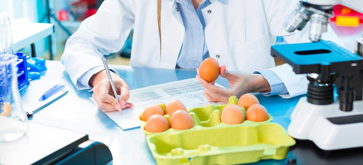 Certificação de qualidade dos alimentos