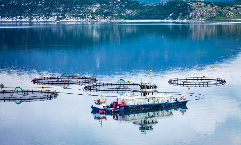 Aquicultura boas práticas