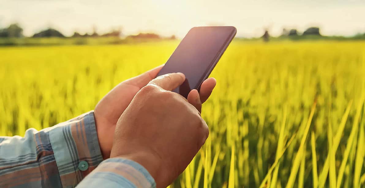 Homem utiliza celular no meio da lavoura