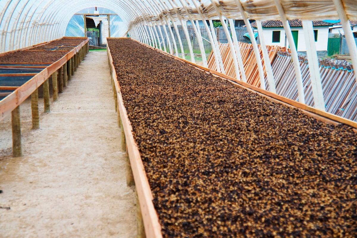 Certificação de produtos agrícolas