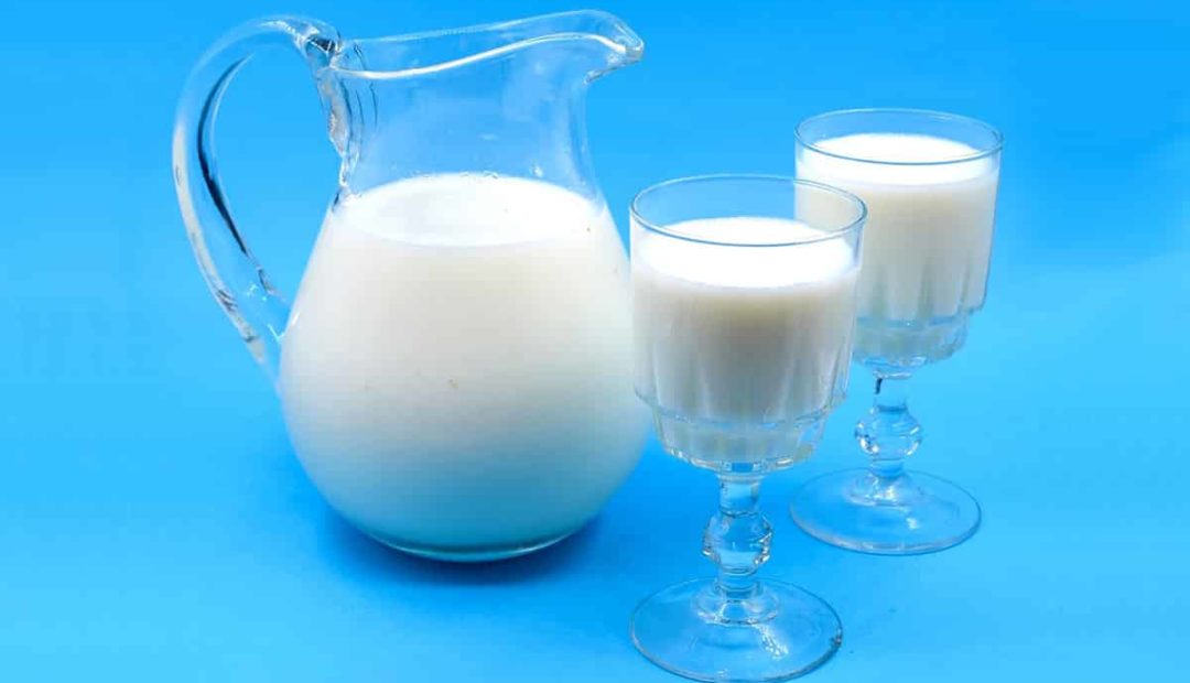 Leite: fonte de nutrição e prazer à mesa