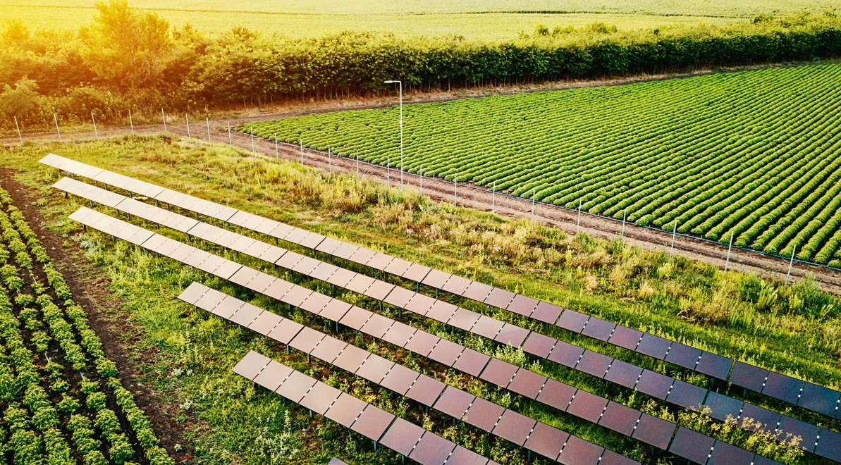 Fazenda com sistema de energia solar