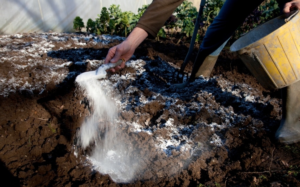 Calagem do solo para aumentar a fertilidade