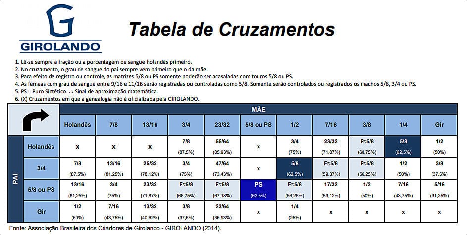 Girolando e seus graus sanguíneos