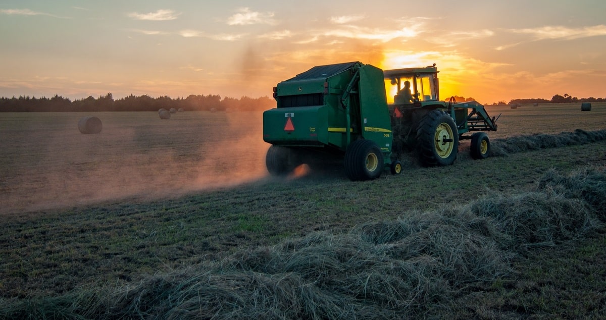 Colheita de feno representando atividade do agronegócio