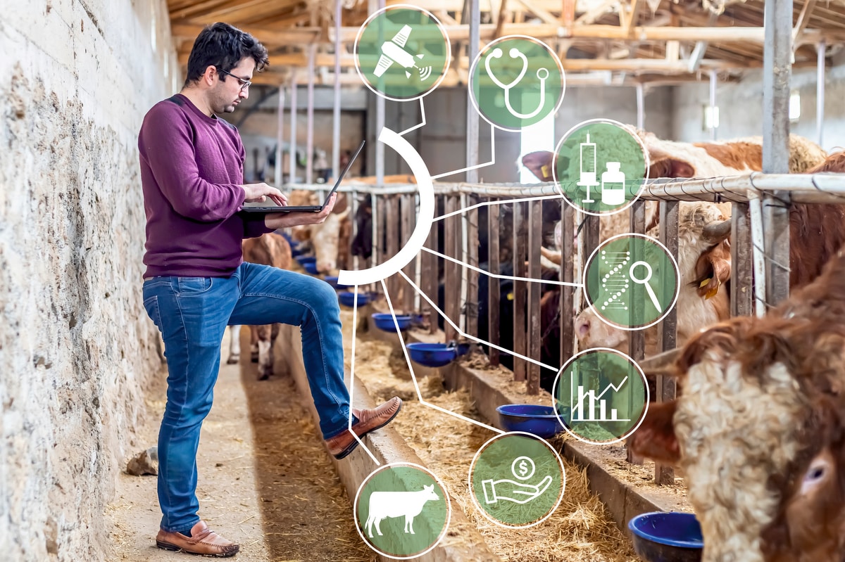 No mercado da pecuária é preciso investir em tecnologia.