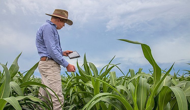 Produtor rural e o marketing digital