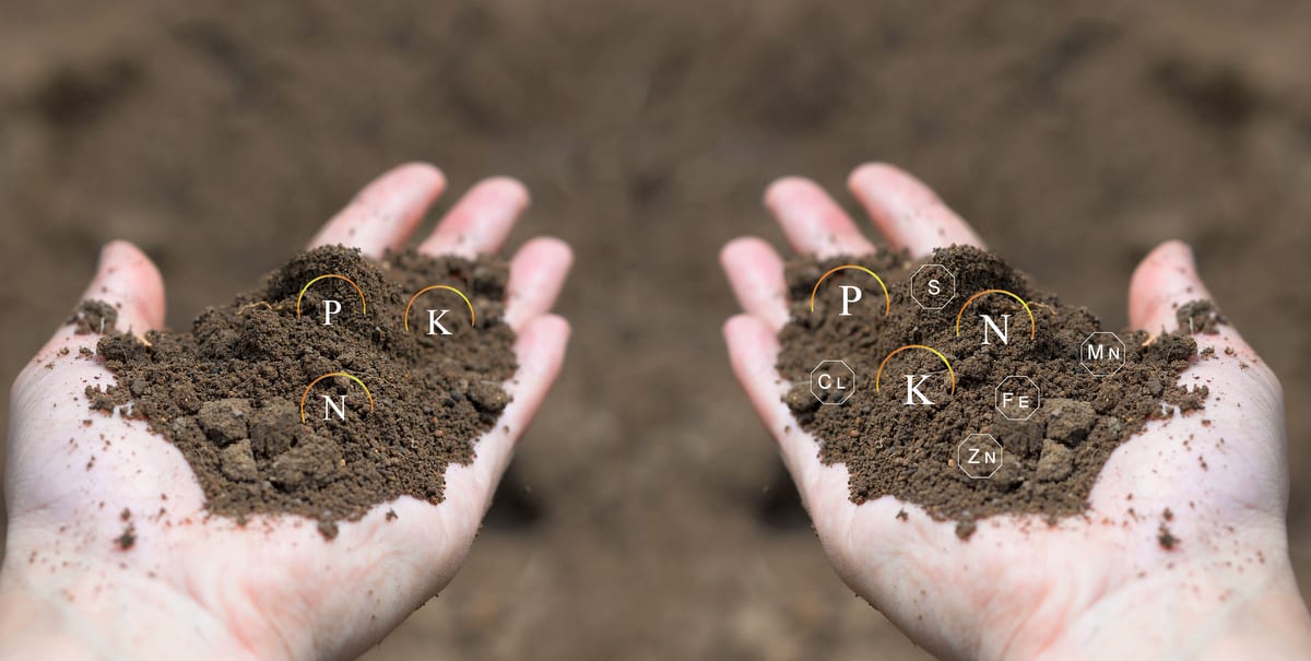Diferentes tipos de solo para cultivo
