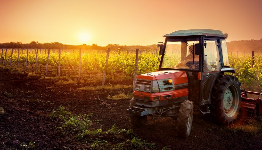 Pequenos tratores: principais funções na agricultura
