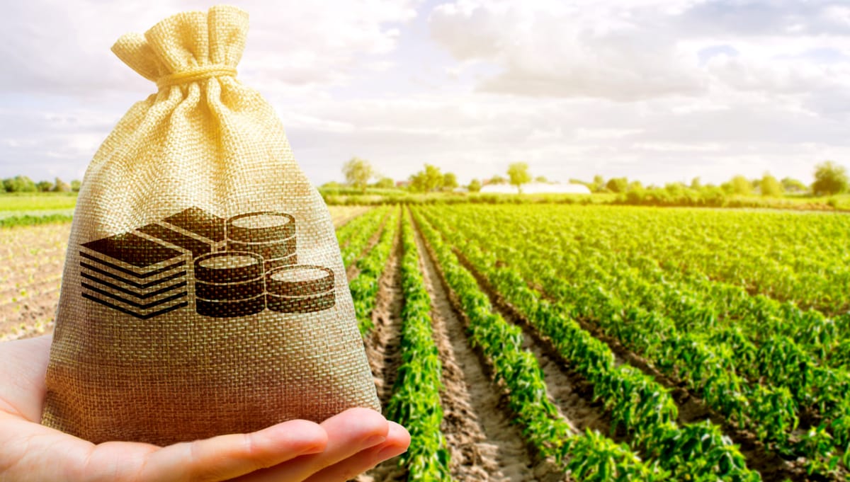 Subsídios na agricultura comparação mundial