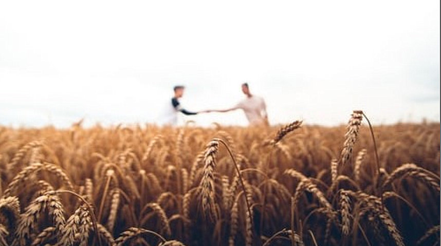 Comunicação e agronegócio entre dois produtores
