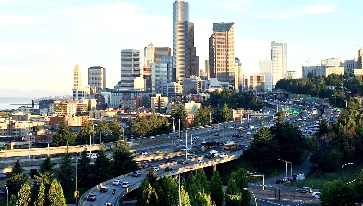 Plano de paisagismo e arborização urbana em grandes centros