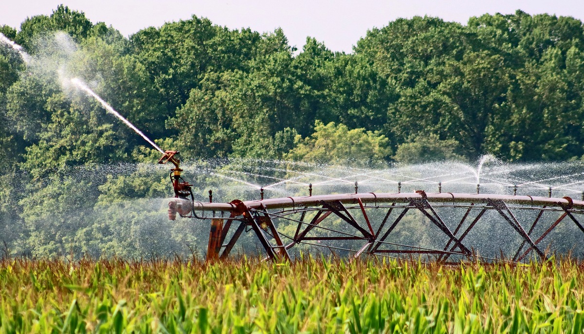 Sistema de irrigação em plantio agrícola