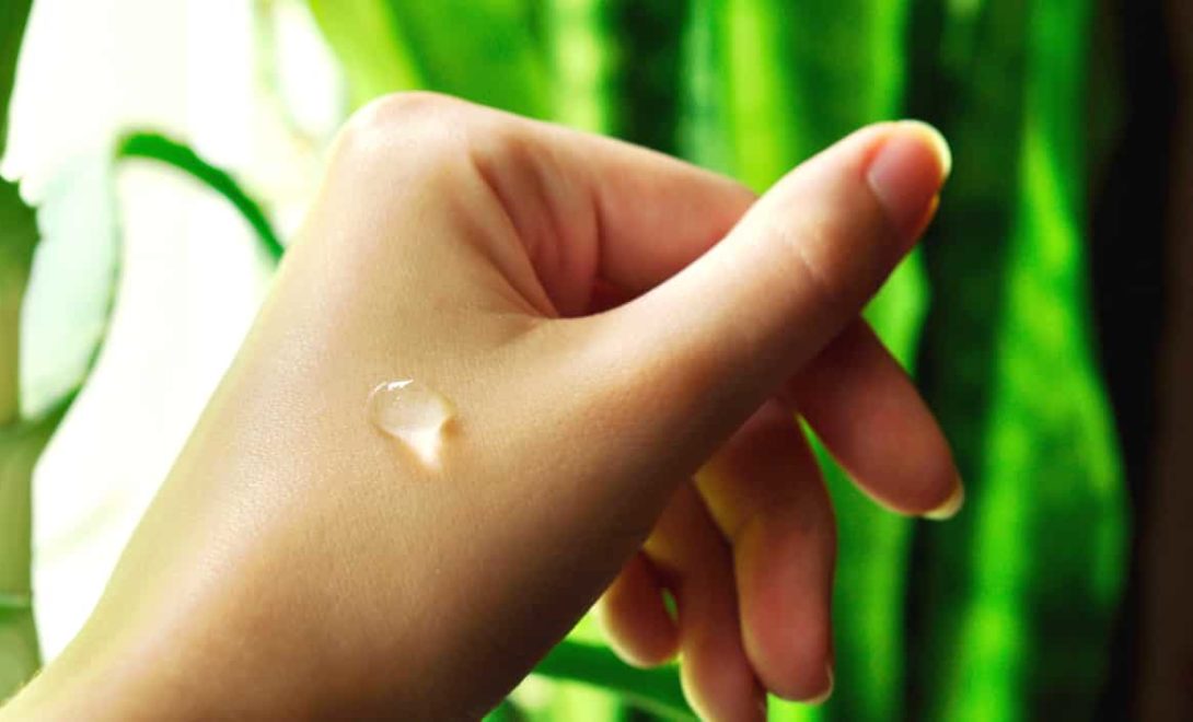 Gel da planta aplicado na mão