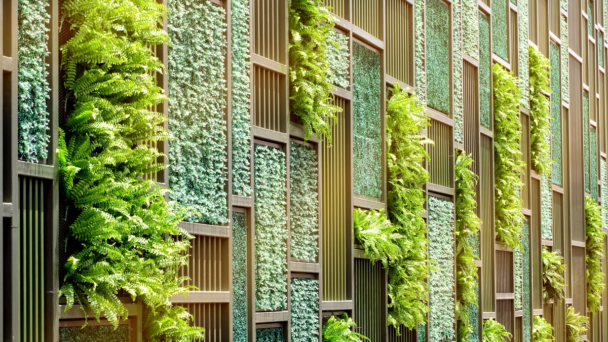 Jardim vertical com samambaias