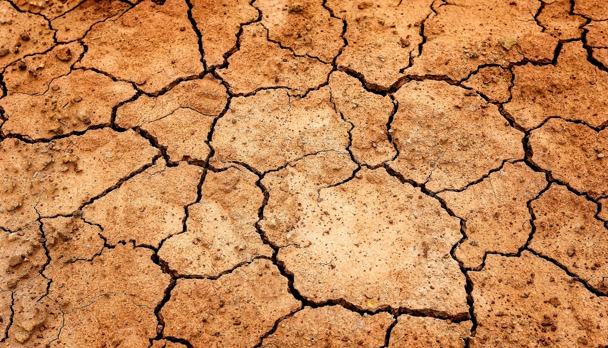 Manejo do solo para evitar erosões