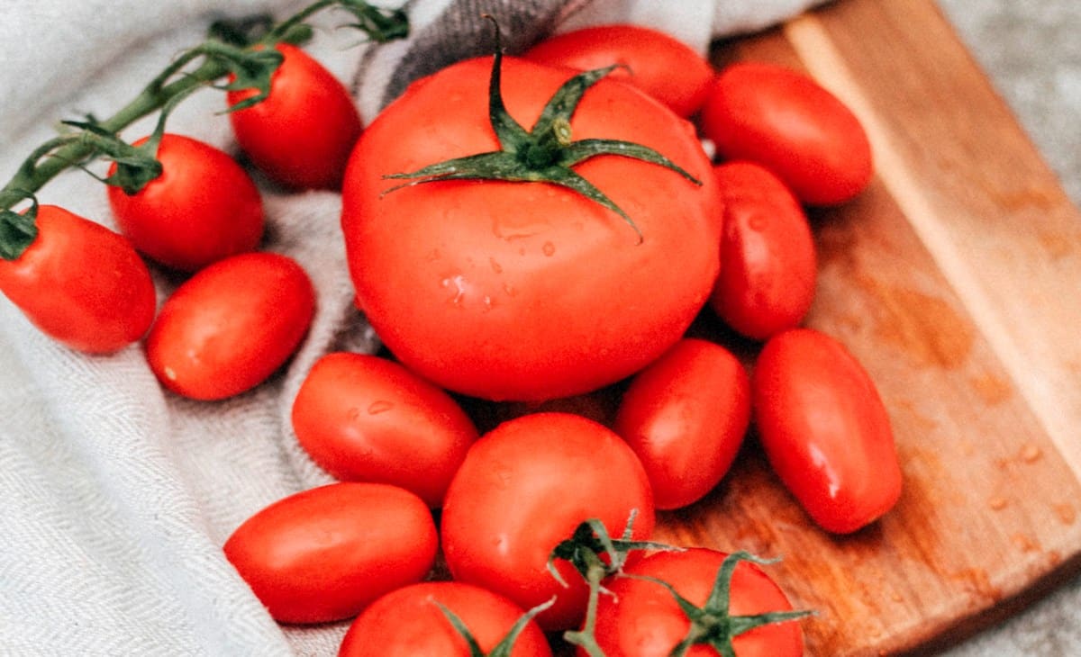 Comparativo do tamanho do tomate sweet grape