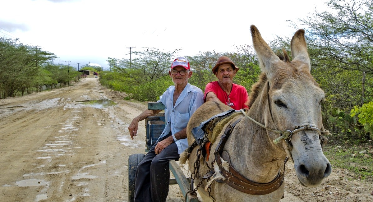Uso de jumentos no transporte de pessoas