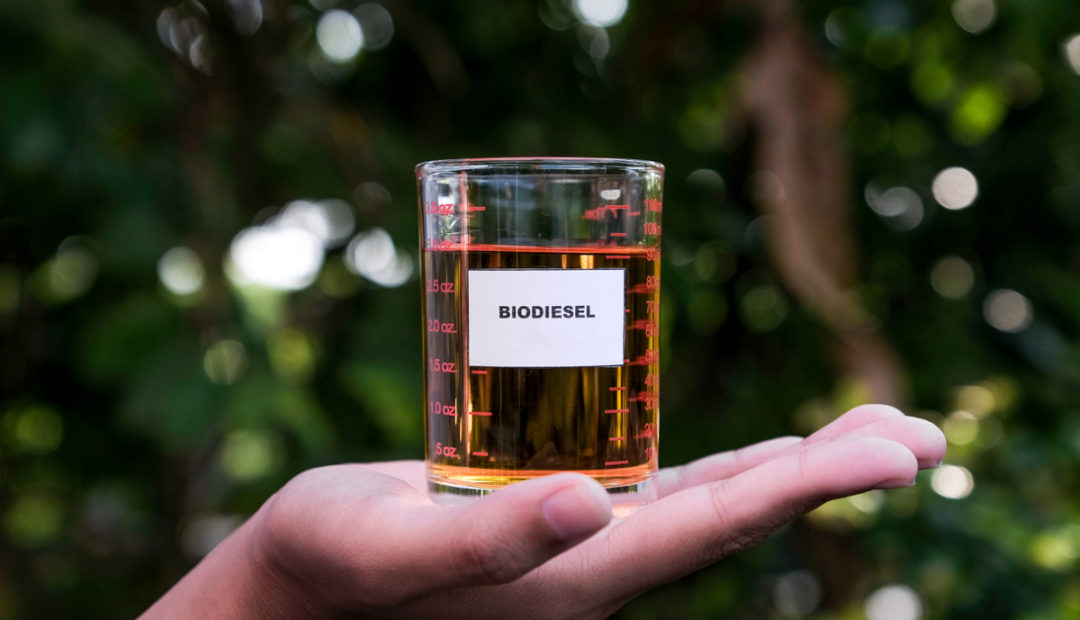 Biodiesel: o que é, como produz e utilização no Brasil