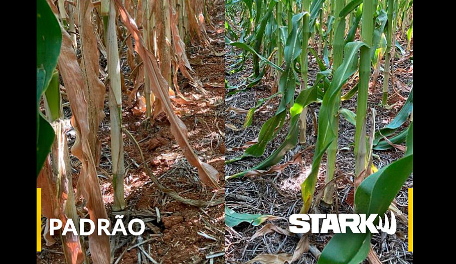 Diferença de qualidade com uso do Stark