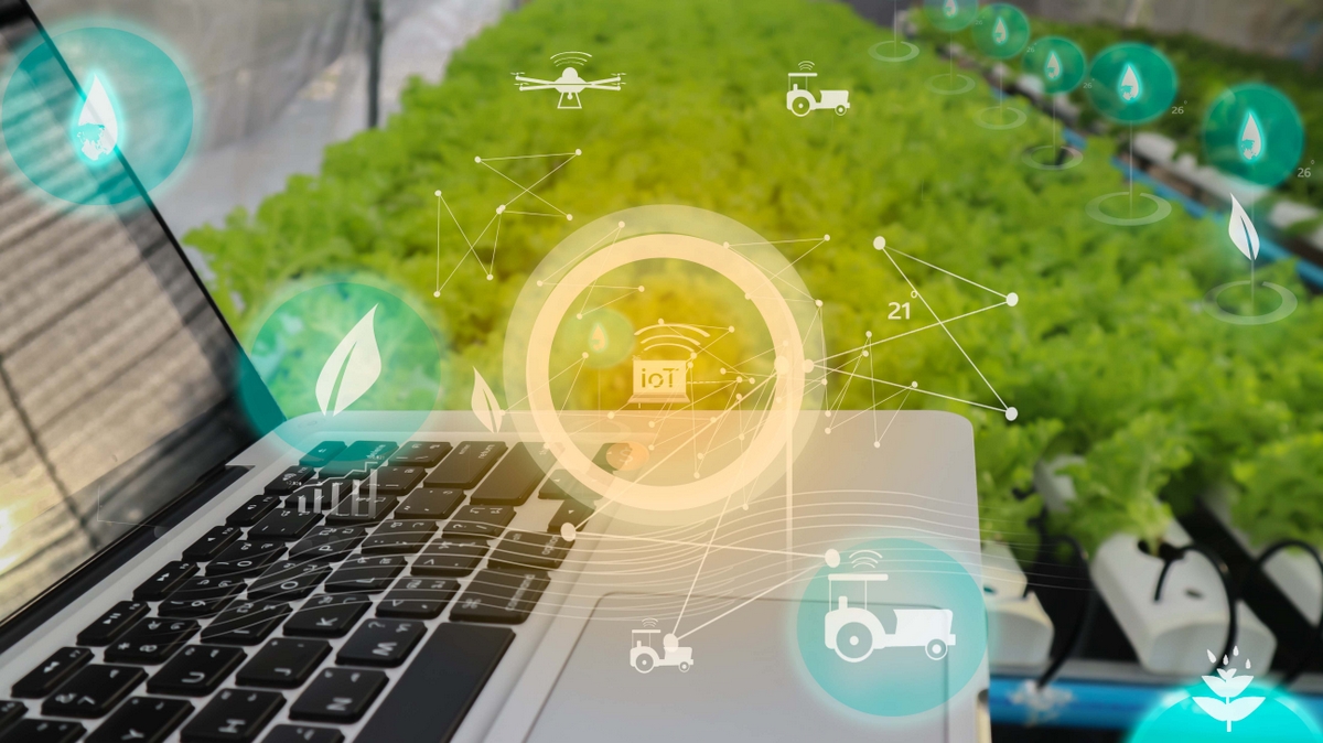 Produtor rural consultando internet na sua propriedade