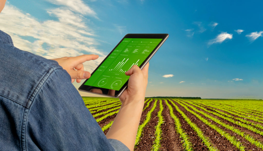 Marketing digital no agronegócio: conteúdo ganha ainda mais relevância com fim dos cookies