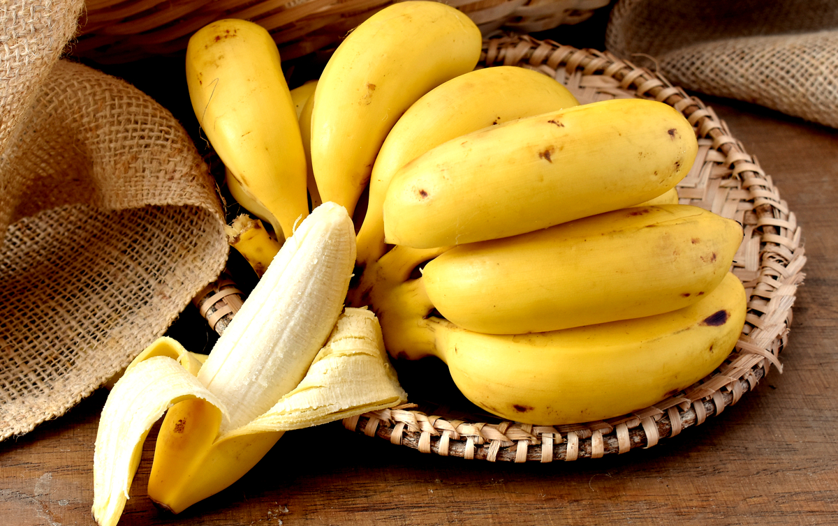Penca de bananas do tipo maçã