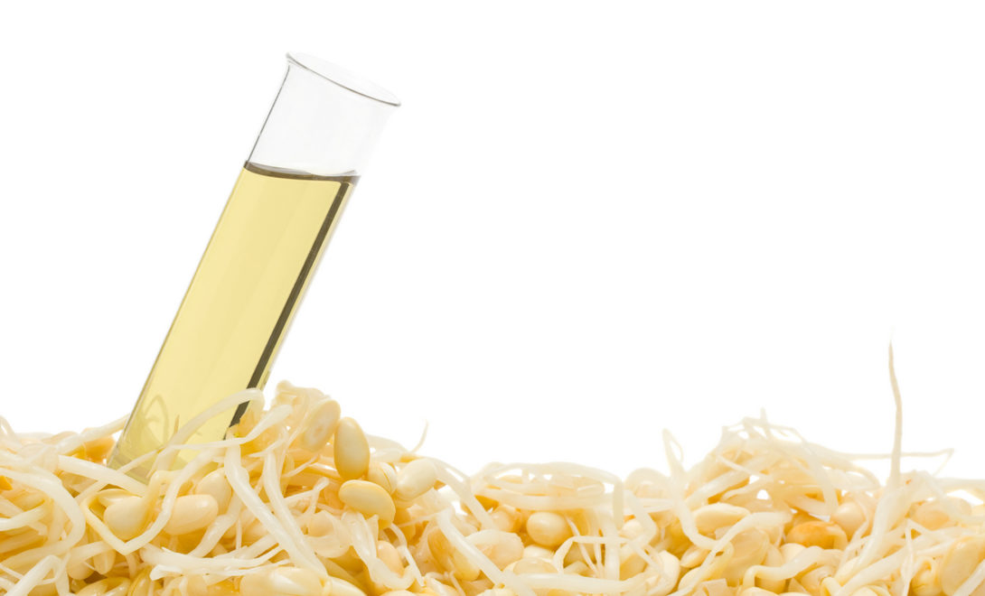 Utilização de óleo de soja para produção de biodiesel