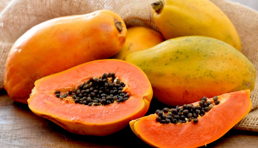 Como plantar mamão e os benefícios dessa fruta