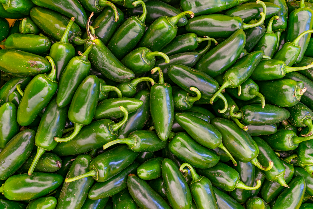 Entre os tipos de pimenta, destaque para a jalapeño