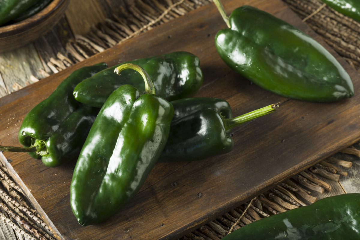 Pimentas Poblano em cima de tábua de madeira