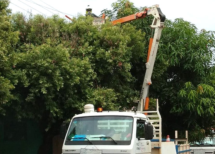 Equipe da Enel realizando poda de árvores em Jataí