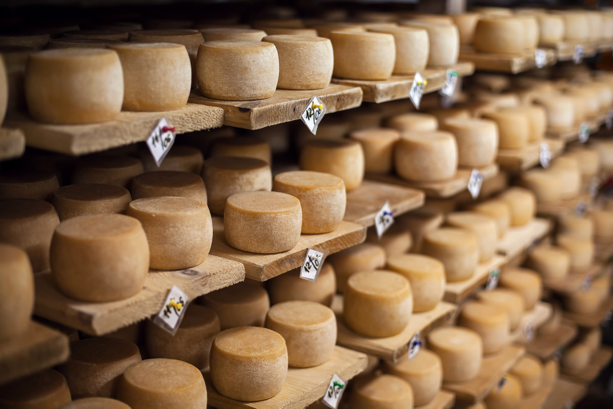 Processo de maturação do queijo, colocando o produto em prateleiras