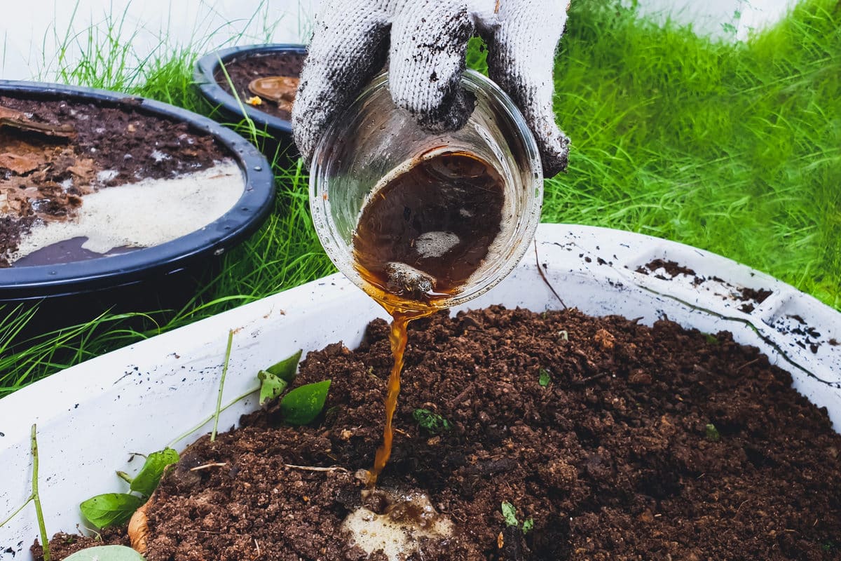 Fertilizantes líquidos usados no preparo no solo