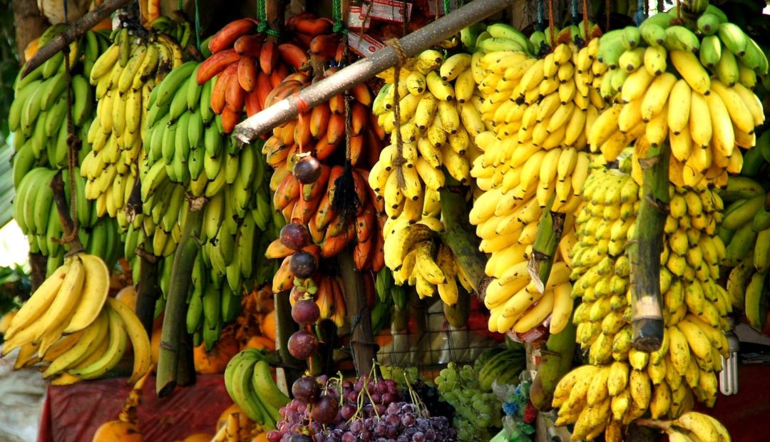 Tipos de banana: conheça os mais comuns no Brasil