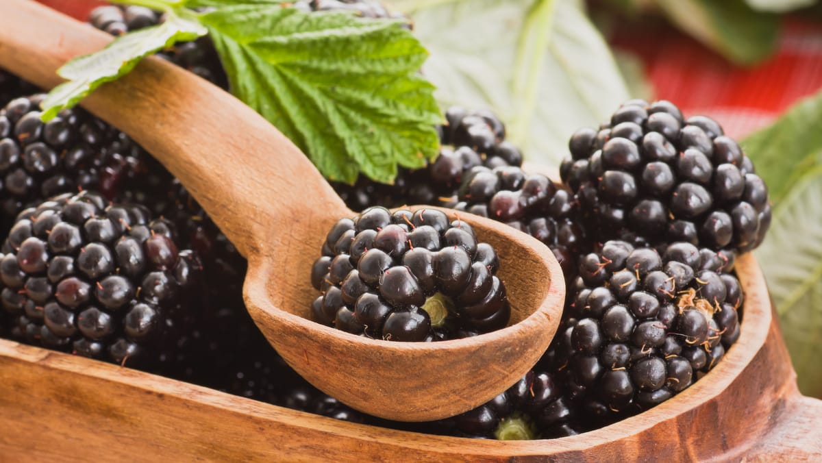 Benefícios da fruta ao nosso organismo