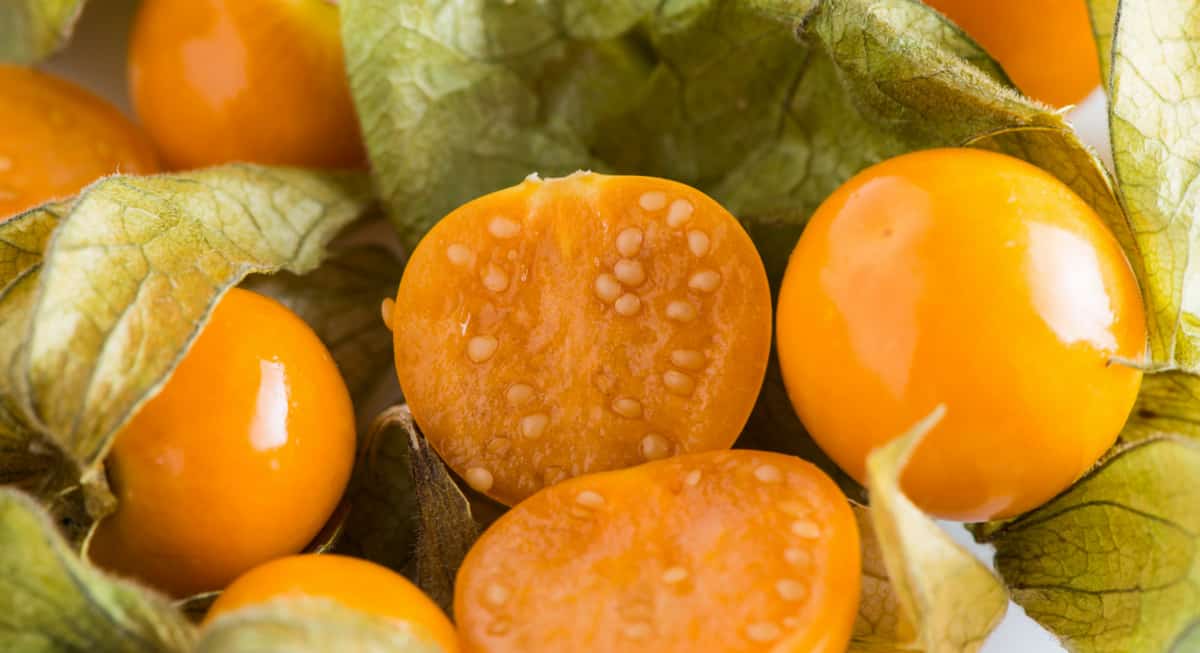 Detalhes da fruta physalis