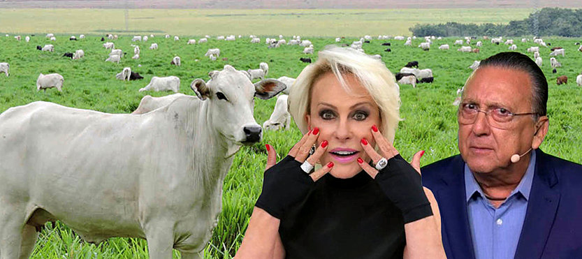 Ana Maria Braga e Galvão Bueno sabem ganhar milhões com fazendas; veja como você pode fazer o mesmo sem ter um centímetro de terra ou cabeça de gado
