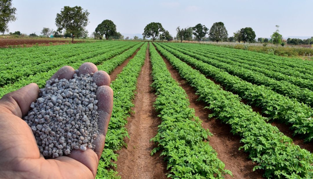 Confira os cuidados necessários na compra de fertilizantes