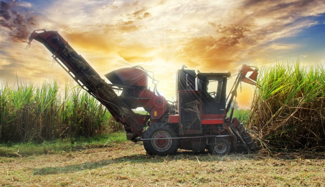 Máquinas agrícolas para produção de cana-de-açúcar