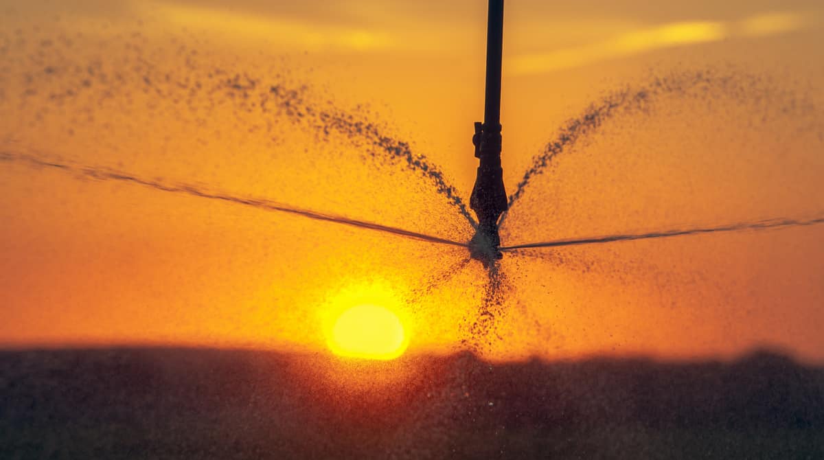 Sistema de irrigação por microaspersão, utilizado para fertirrigação de frutíferas