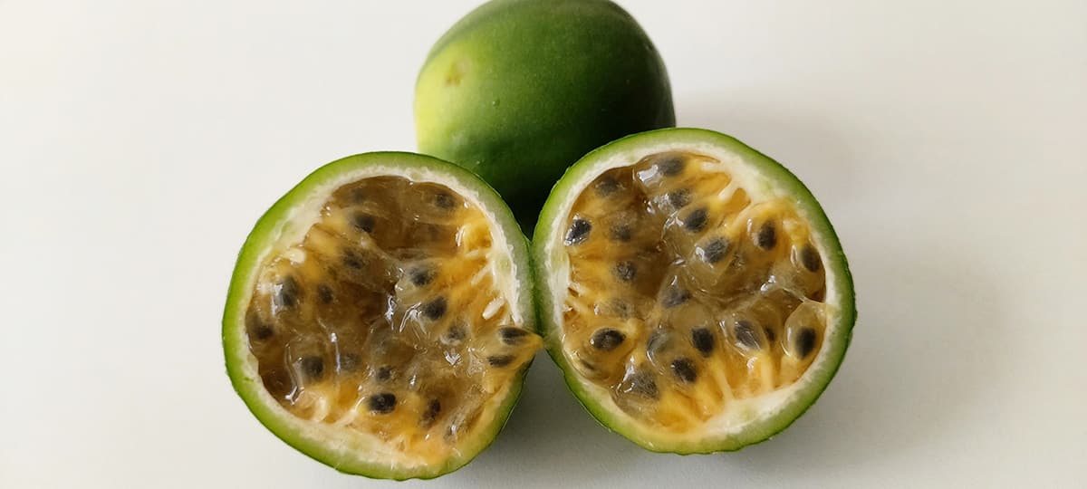 Espécie de maracujá cultivada na caatinga