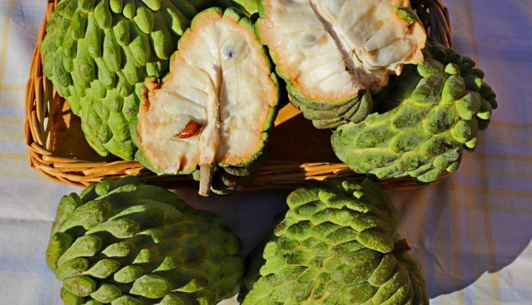 Atemoia: conheça essa fruta e saiba como plantá-la