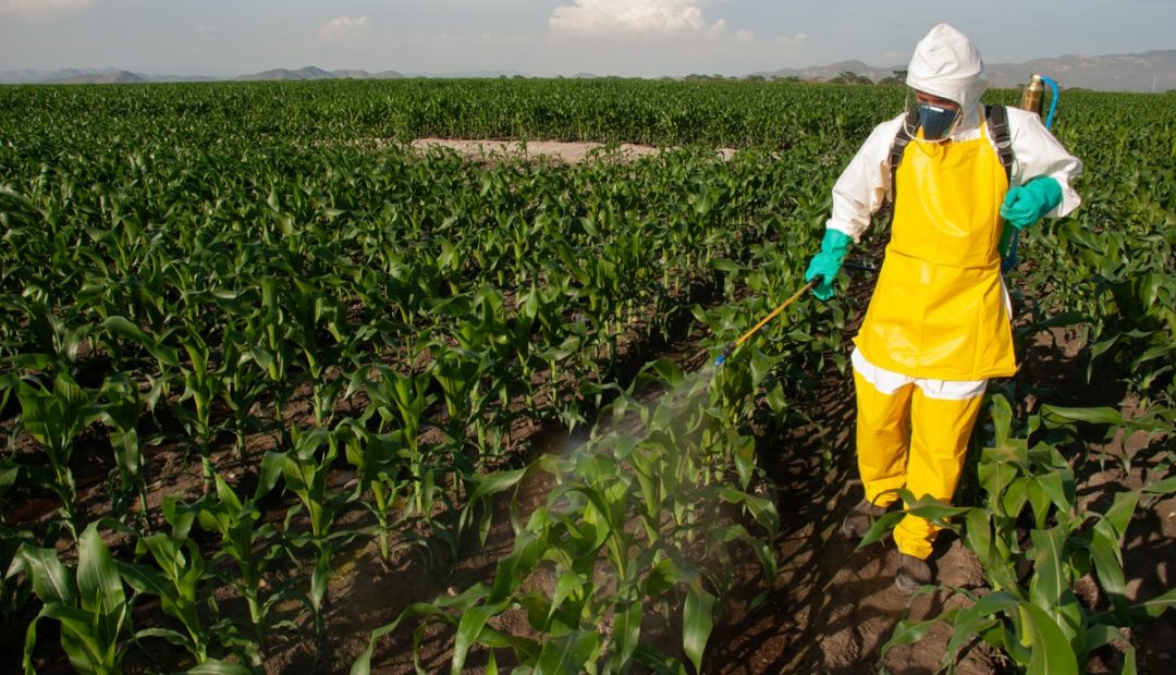 Equipamentos de proteção individual de uso agrícola