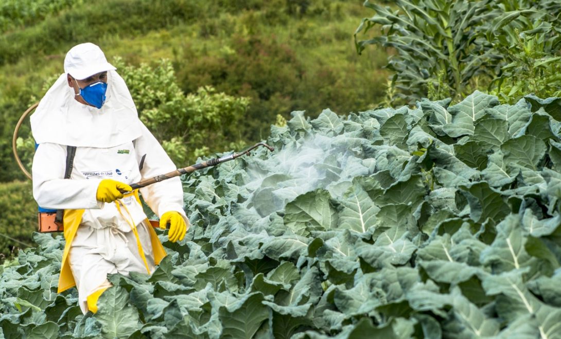 Trabalhador agrícola pulverizando defensivos usando equipamentos de proteção individual