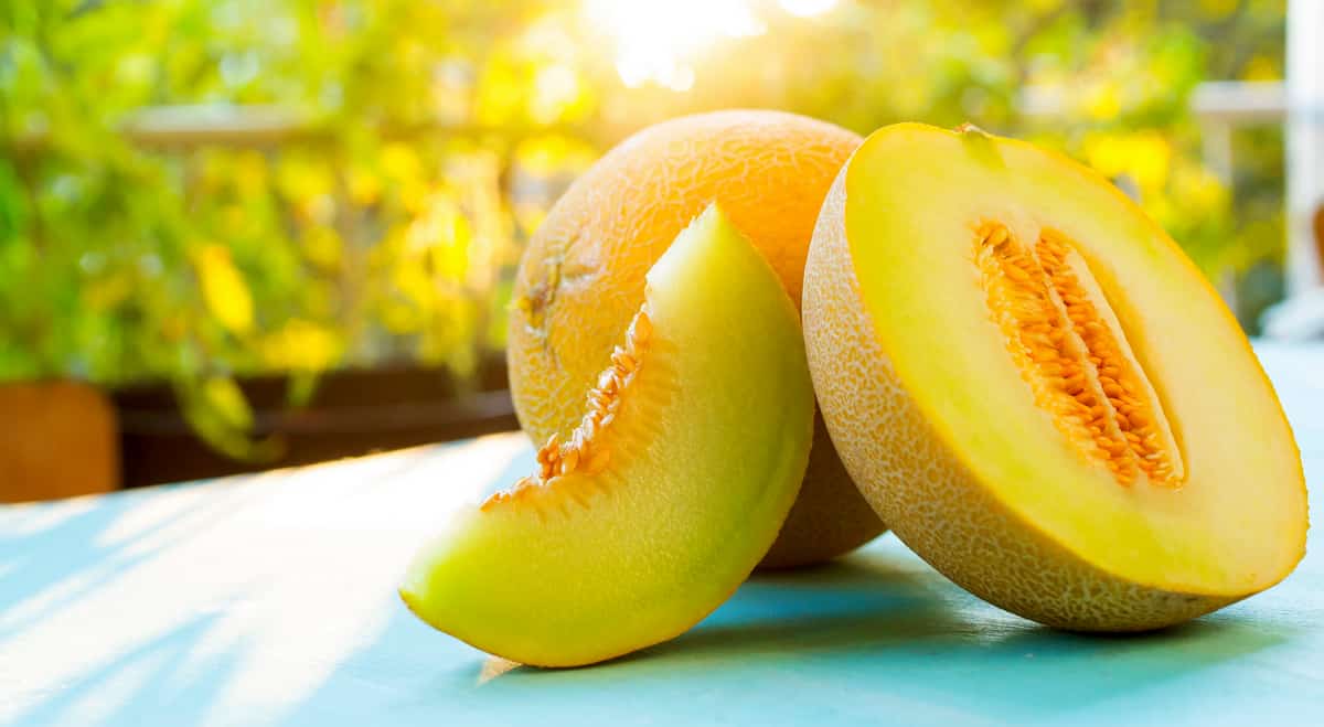 Tipos de melão: confira os principais e os seus benefícios - MF Magazine