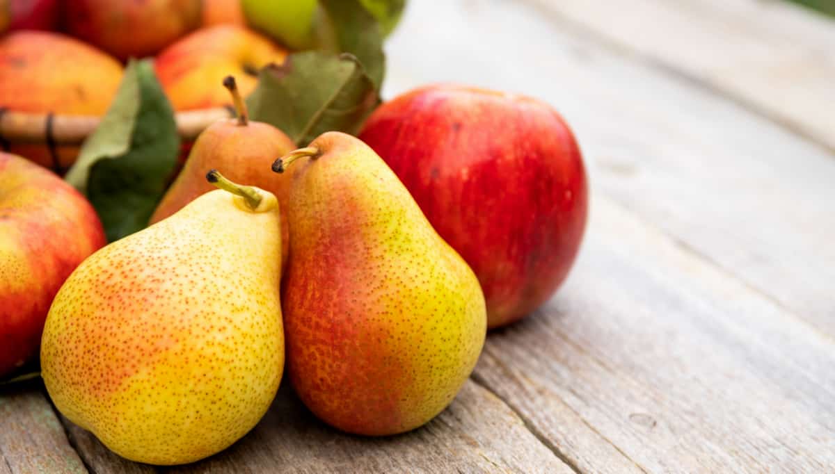 Benefícios dessa fruta ao organismo